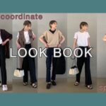 【1週間コーデ】150cm UNIQLO Tシャツ着回しコーデ【LOOK  BOOK】