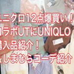 ユニクロ購入品12点！しまむらコーデ！ユニクロUTにUNIQLO　Uの早くもお値下げ超お買い得品ドンと紹介！＃ユニクロ＃ユニクロ購入品#UNIQLO＃コラボ#しまむら#しまむら購入品＃しまむらコーデ