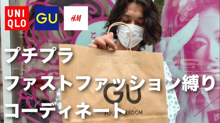 【UNIQLO・GU・H＆M】プチプラ・ファストファッションだけでコーディネートしてみた【小物は勘弁してください】