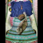 #猫 #毎日コーデ 古着やしまむらさんの洋服でプチプラコーデ♡ #shorts