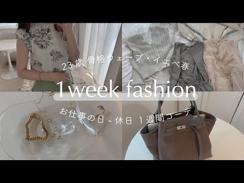 【毎日コーデ】23歳OL夏のリアル１週間コーデ/骨格ウェーブ/イエベ春【LOOKBOOK】