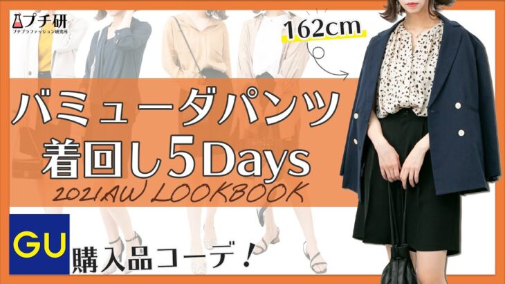 【GU購入品】GUのバミューダパンツ着回し5コーデ！秋まで使える着こなし紹介【162cm｜LOOKBOOK】#shorts