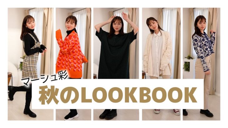 【LOOKBOOK】秋のテーマ別コーデを紹介したよ！【ZARA】