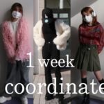【fashion】150㎝モデルのリアルな一週間コーディネート