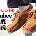 【2022年トレンド】今最もアツいClarksのWallabeeを徹底解説‼︎