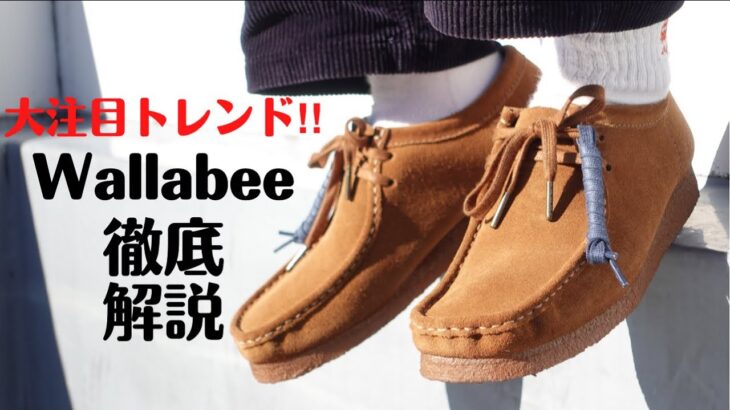 【2022年トレンド】今最もアツいClarksのWallabeeを徹底解説‼︎