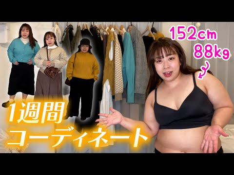 【1週間コーデ】最近買ったプチプラ服でつくる春先取り1週間コーディネート🌸