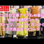 UNIQLO ユニクロ定番アイテムで1週間コーデ！7コーデのLOOKBOOK！定番Tシャツにカーディガンコラボ商品まで！#占い #タロット占い #タロット #uniqlo ＃ユニクロ#ユニクロコラボ