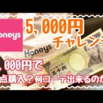 【Honeys】5,000円チャレンジ！《何点購入？何コーデできるのか？》