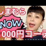 【しまむら】嘘でしょ⁉️しまむら1000円コーデ⁉️【購入品紹介】