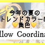 【夏のトレンド💛イエローコーデ】前編💛ほぼしまむら購入品💛yellow coordinate💛