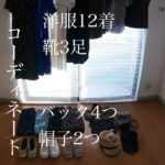 【私服コーディネート】プチプラ多めの夏服12着のミニマルコーディネート/お気に入り/着回し/オススメプチプラ服/