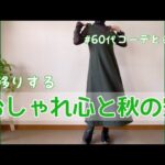 【60代コーデ65】ユニクロリアル秋コーデ/秋のパンツコーデもやってみたよ/64歳の日常