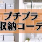 【ニトリ・無印良品・ダイソー】プチプラ収納コーデ！