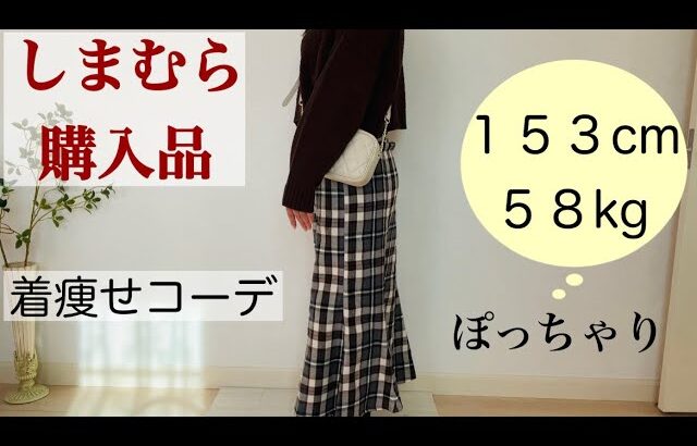 【しまむら】低身長ぽっちゃりの冬服購入品・着痩せコーデ