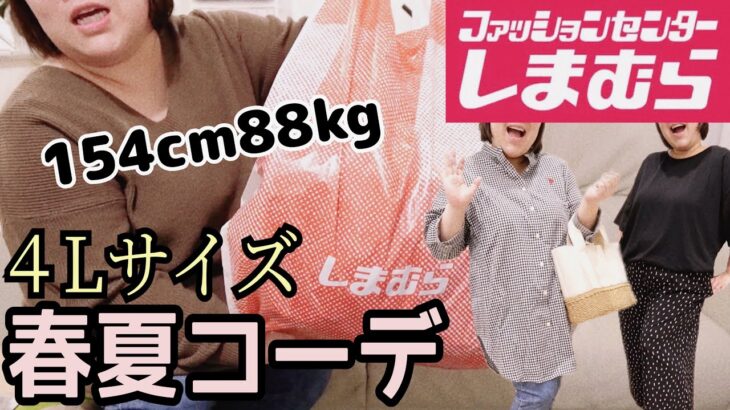 【しまむら購入品】88kgぽっちゃり主婦の大きいサイズ春夏コーデ♪苦手意識のあるTシャツに挑戦！ポーチ、カゴバッグも可愛いからおすすめ！（4L着用）