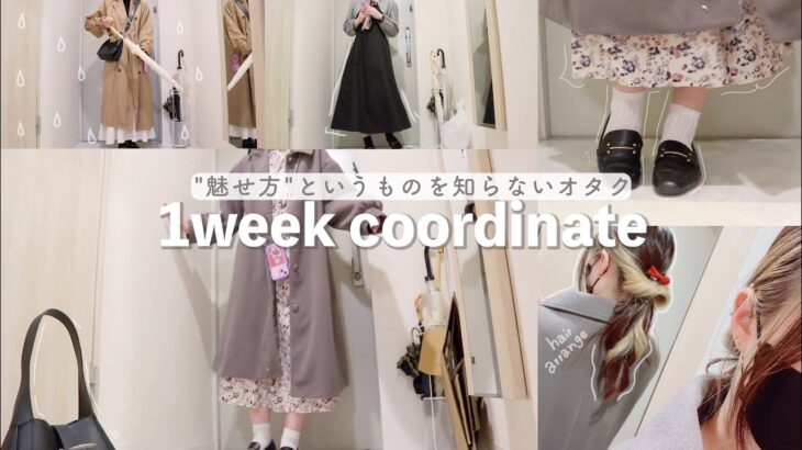 【LOOK BOOK】プチプラに頼ったオタクの1週間コーデ🌸ハマってるヘアアレンジも🙆‍♀️1week coordinate