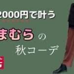 【しまむら購入品紹介】お得感満載♪しまパトの醍醐味ですね😊