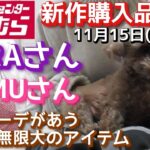 【しまむら購入品】 TERAさん　tera wear emu　  新作購入品    　11/15日（水）発売　「上品コーデがあう着回し無限大のアイテム！！」MUMUさん　【しまむらオンライン購入品】