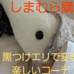 【しまむら購入品】セール¥330のツケエリで楽しいコーデやってみた