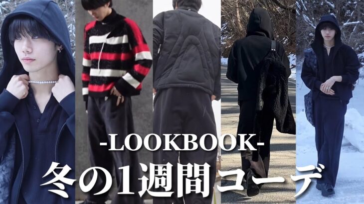 【LOOKBOOK】冬の一週間コーデをご紹介します【5styles】【冬服春服】