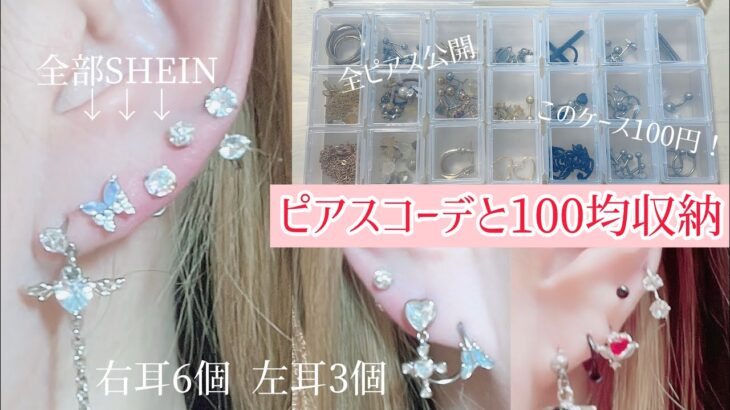 【SHEINピアスコーデ&収納】金アレ女がピアス全紹介！大量のピアスを100均ケースに収納しますすす[０はじ]