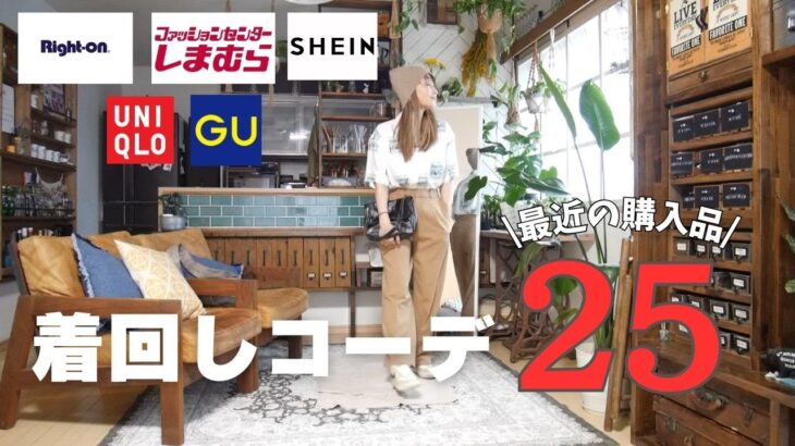 最近の購入品で着回しコーデ25/GU/UNIQLO/しまむら/ライトオン/SHEIN/