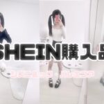 地雷系女子のSHEIN購入品【バレエコア・シズニルック】