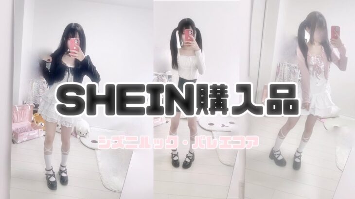 地雷系女子のSHEIN購入品【バレエコア・シズニルック】