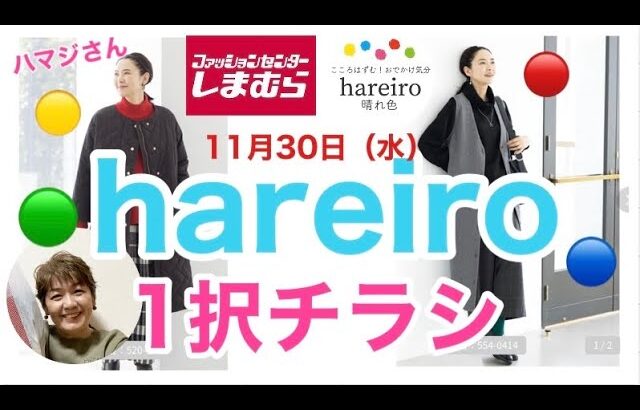 【しまむらチラシ】ハマジさんが出たァー😆大人のハレイロ1択チラシご紹介させて頂きます😊