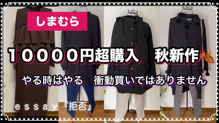 【しまむら購入品】ついに秋服を購入しました😸セール品を脱却しやっと旬な洋服を買う事になりました🛒#fashion #コーデ #しまむら