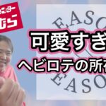 【しまむら購入品紹介】思わずイロチ買い‼️秋冬に大活躍間違いなしのコーデュロイパンツ😁