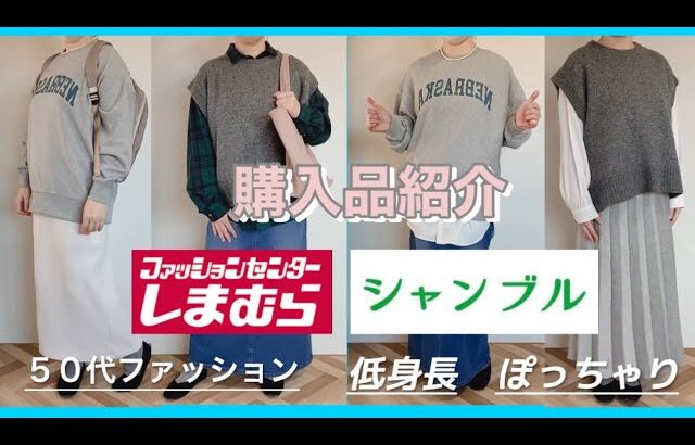 【しまむら】【購入品】【50代ファッション】しまむらのベスト、トレーナー。シャンブルのスカート。合計3点