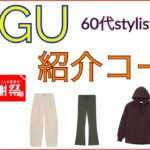 値下げ購入GUコーデ#60代