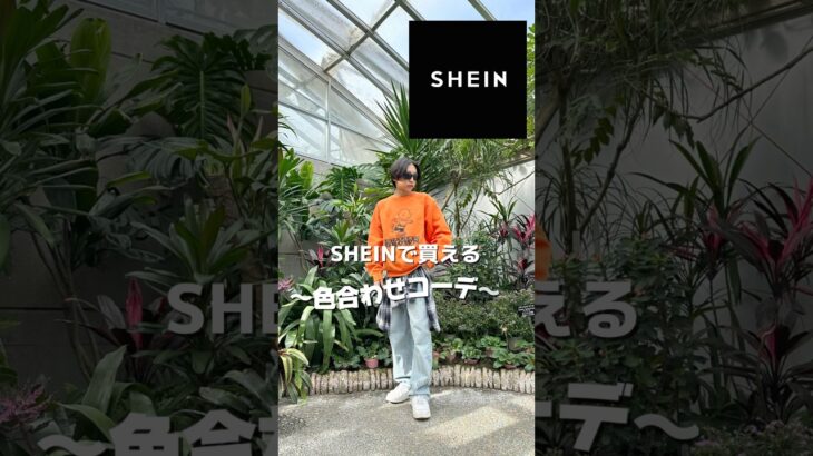 【激安】SHEINで買える色合わせコーデ！ #Shorts