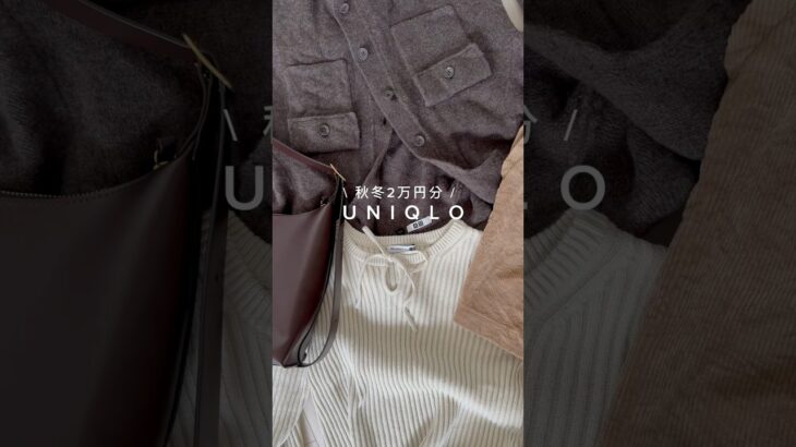 #UNIQLO#uniqloコーデ #ユニクロ#ユニクロ購入品 #uniqlo購入品 #秋服コーデ#プチプラ高見えコーデ