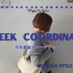 極寒の年末【look book】1週間コーディネート vo157#まとめコーデ #着ぶくれしない#優秀ダウン