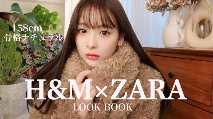 【lookbook】H&MとZARAって可愛い服多すぎん？🎄💕