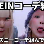 SHEINでディズニーコーデ組んでみた