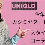 カシミヤタートルコーデ#UNIQLO