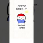 白ゴマの1週間コーデ